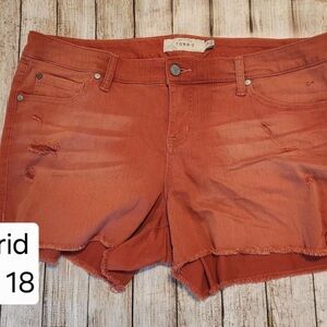 Torrid Women's Red Distressed Shorts Size 18